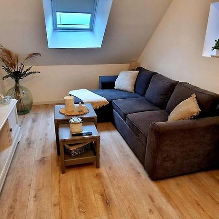 Appartement Charmant Et Spacieux Auxerre Bagian luar foto